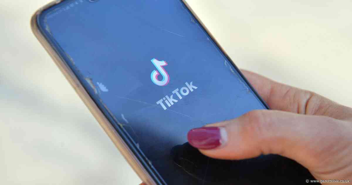 Artist accused of harassing women with TikTok videos says he is victim of 'smear campaign'