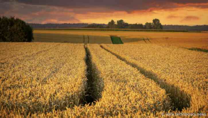 U.S. Farmers: “It Is A Full-Blown Crisis Already”