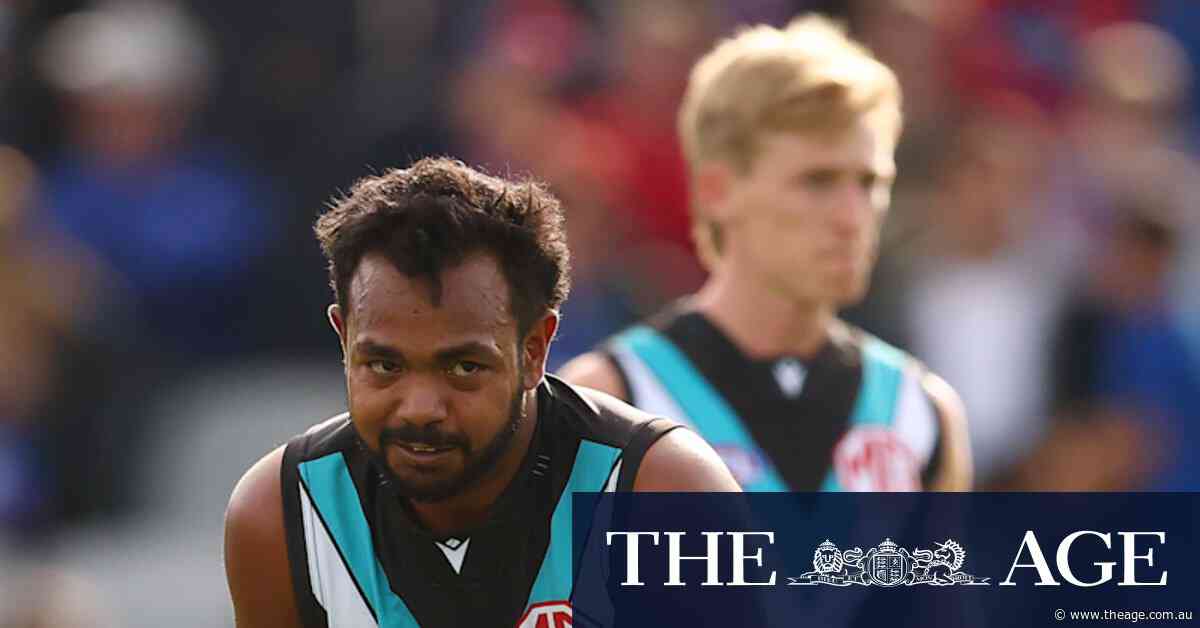 Power, Dogs investigate alleged threat from Willie Rioli about Bailey Dale