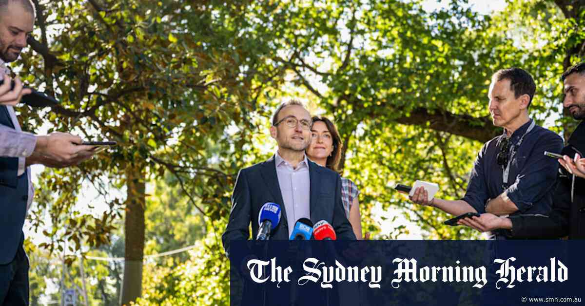 Bandt defiant as Greens lose lower house ground