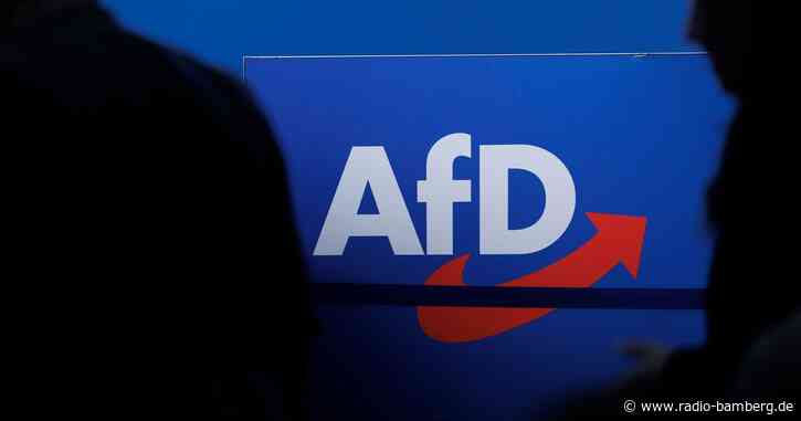 AfD klagt gegen Verfassungsschutz-Einstufung