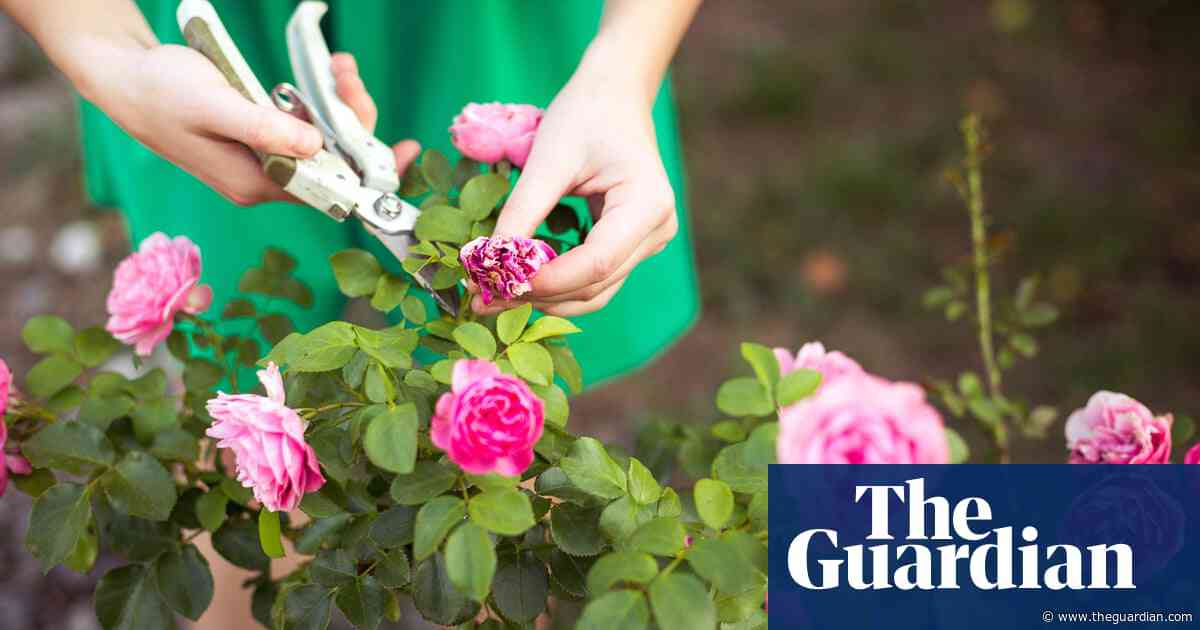 From the perfect gardening tools to £8 mascara, what you loved most this month