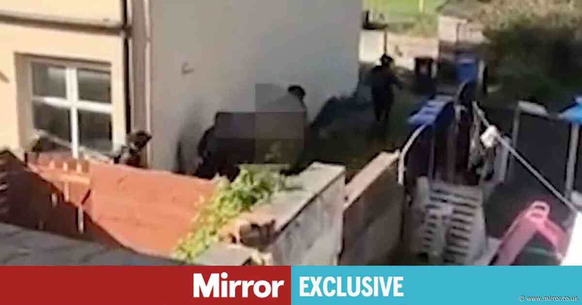 Iran-backed UK terror plots 'in double figures' as security services race against time