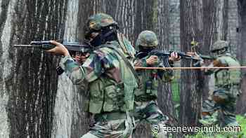Pakistani National Nabbed By BSF After Allegedly Crossing Border In Punjab`s Gurdaspur