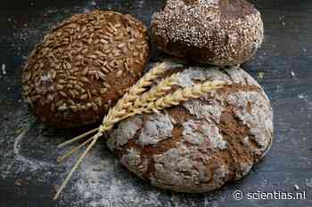 Mag je zoenen na een broodje gluten? Dit zegt de wetenschap