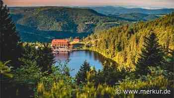 Westweg-Schwarzwald: Quer durch Deutschlands höchstes Mittelgebirge