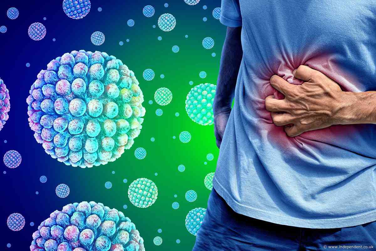 Cruise ship passengers warned of latest norovirus threat after outbreaks