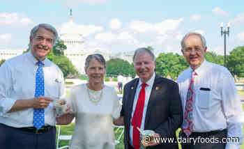 IDFA Capitol Hill Ice Cream Party to return June 11