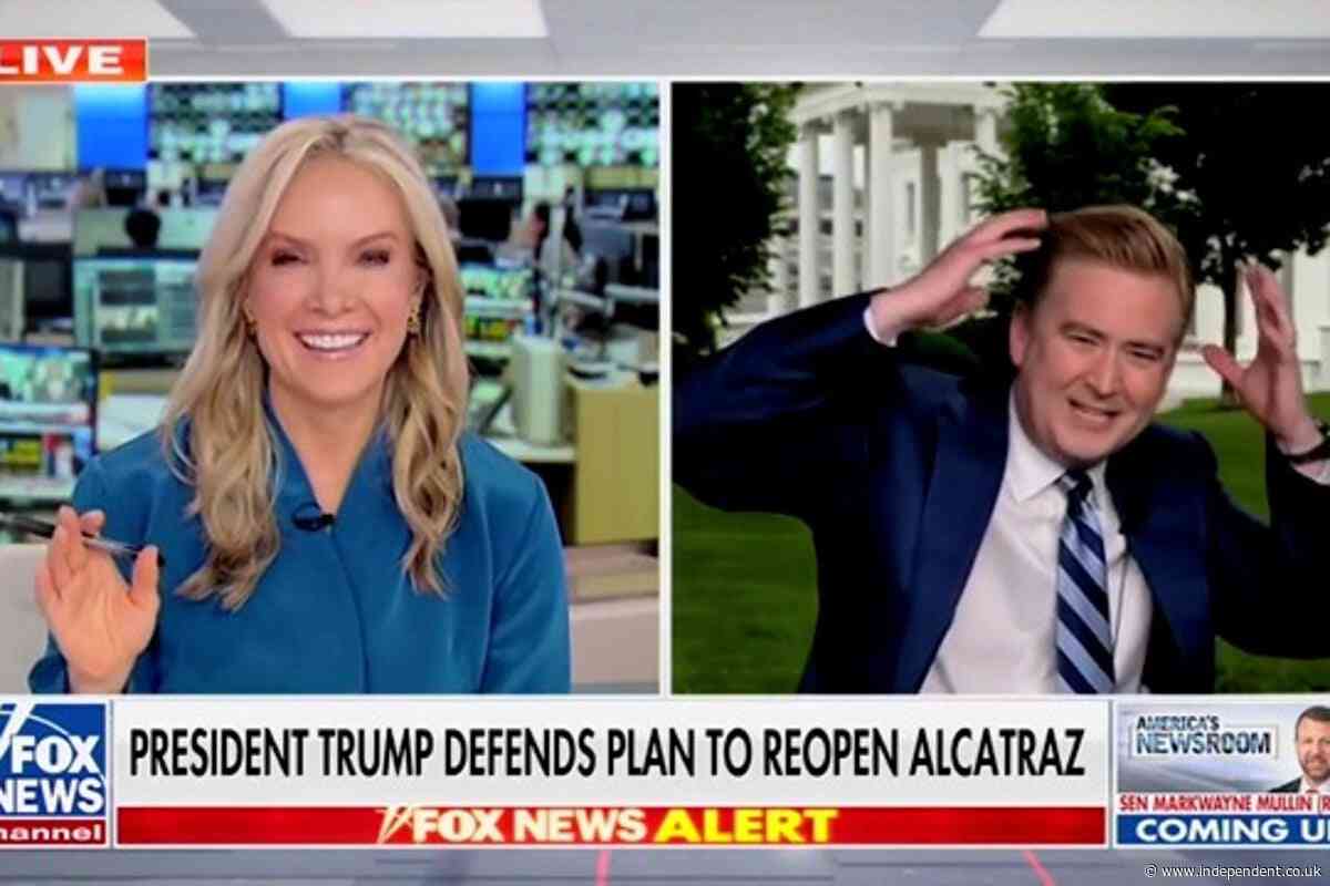 Fox News’ Peter Doocy once again the victim of fowl play as another rogue bird attacks him