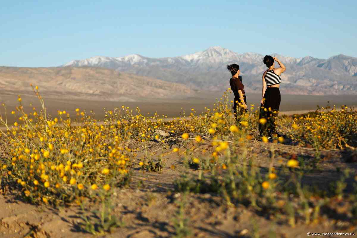 Trump wants states to take over control of National Park system as he proposed $1 billion cut to its budget