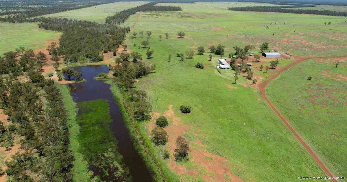 Exclusion fenced, buffel grass property on the market at $8.25 million