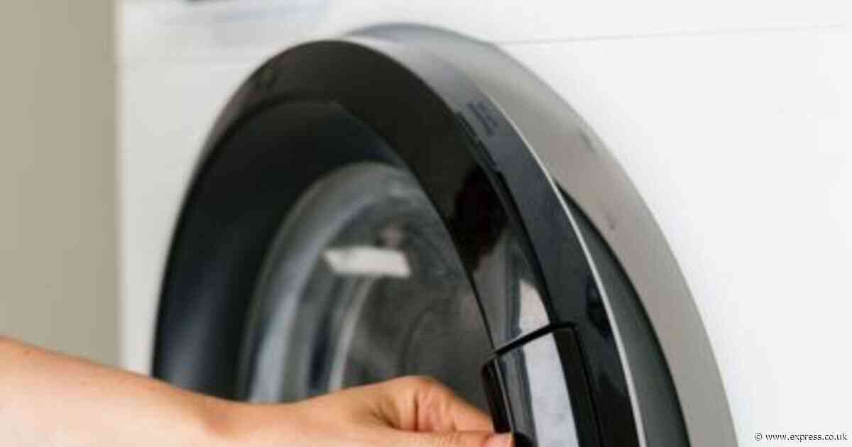Surprising item you should avoid putting in the washing machine — or risk damage