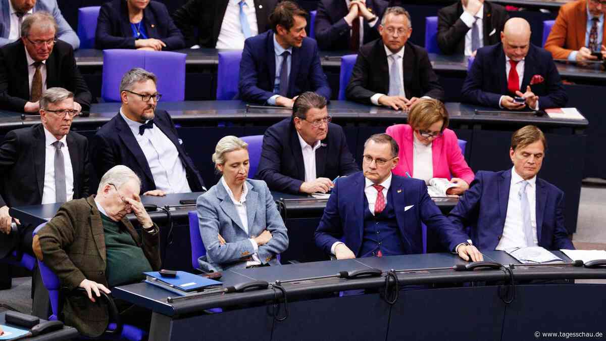 Bundestag: Union und SPD gegen Ausschussvorsitzende von der AfD