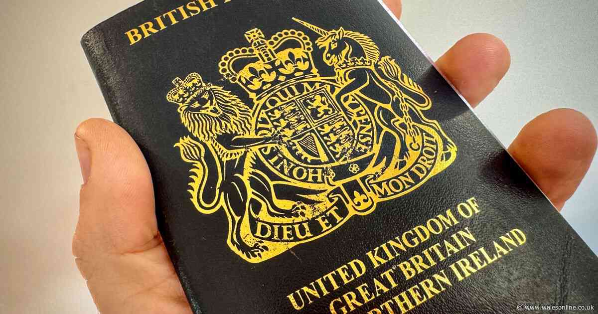 What does a black passport mean?