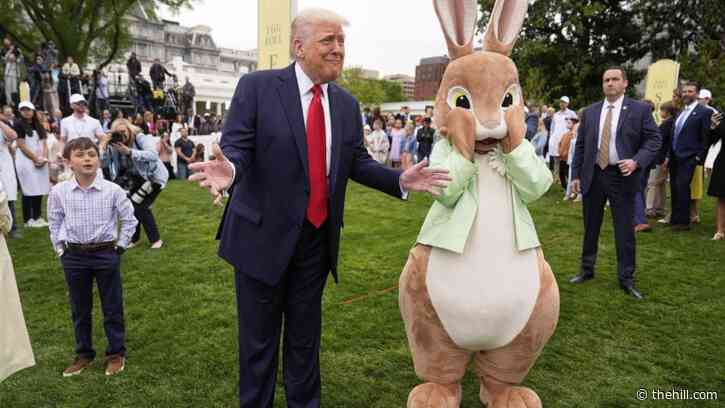 Trump dolls remarks 'really damaging messaging': Marc Short