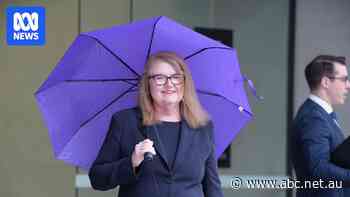 $2.8m probe into childcare giant resulted in $5,000 penalty for lawyer