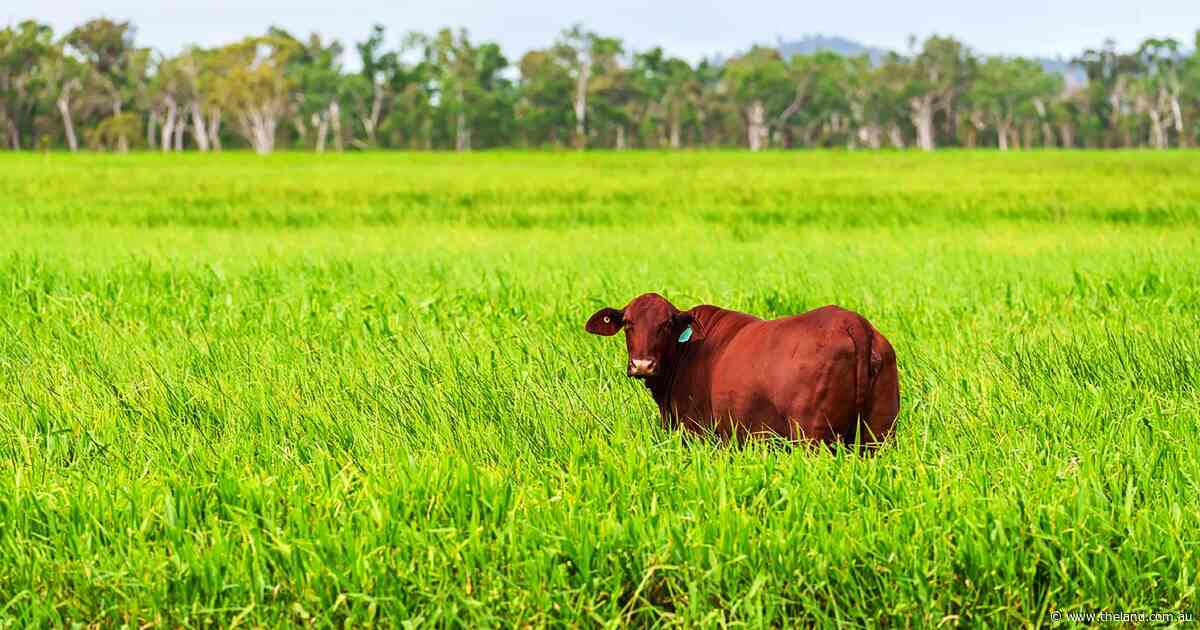 Record farmland prices in the past year | region by region across the state