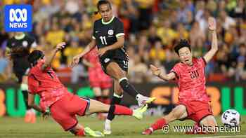 What does Mary Fowler's injury mean for the Matildas heading into the Asian Cup?