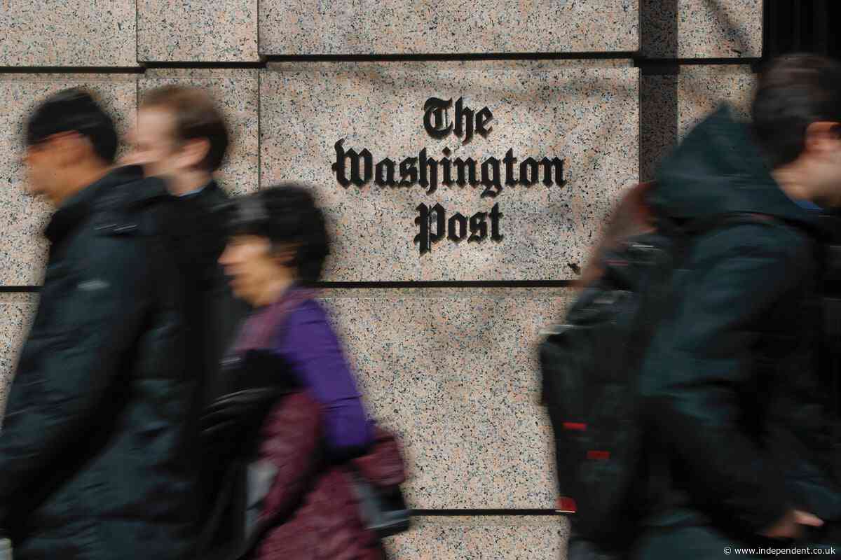 Ann Telnaes, who quit Washington Post in protest, wins Pulitzer for 'fearlessness' in commentary