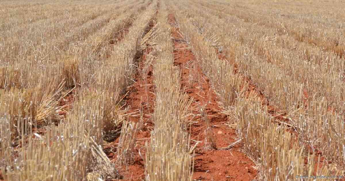 WA farm price growth comes off the boil - region by region analysis of prices
