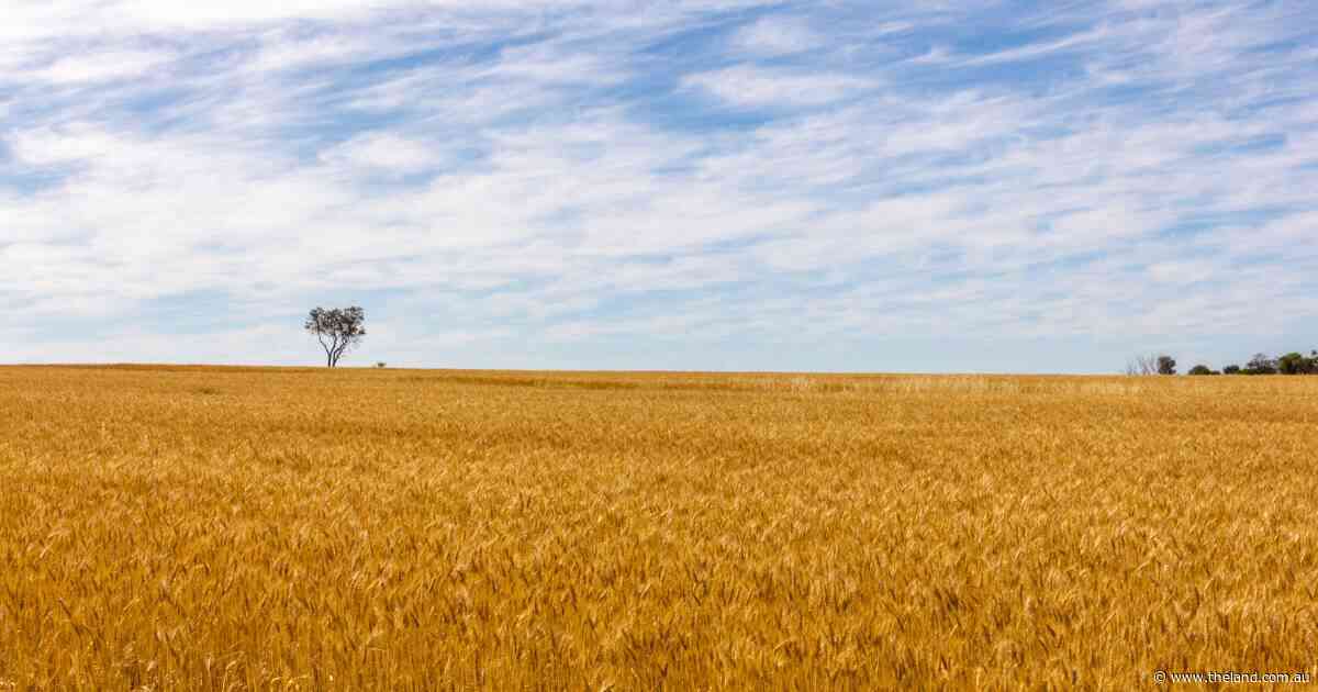 Mixed global market factors but Aussie winter crop expectations look steady