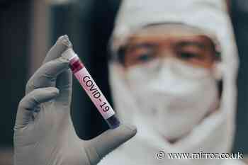 Donald Trump bans 'dangerous' virus research funding to China after Covid-19 leak