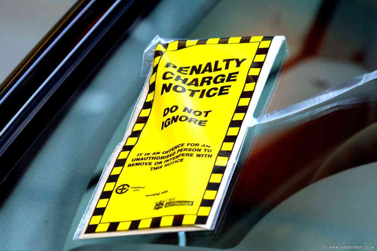 Parking companies ‘don’t want’ to ticket drivers, says industry head