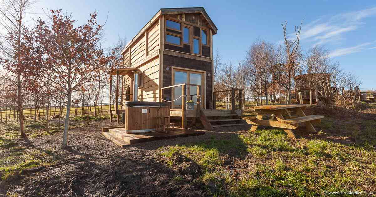 Northumberland farm with award-winning glamping business for sale at £2.2m