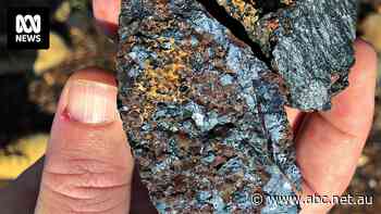 Australian miners see opportunities during US and China trade war chaos
