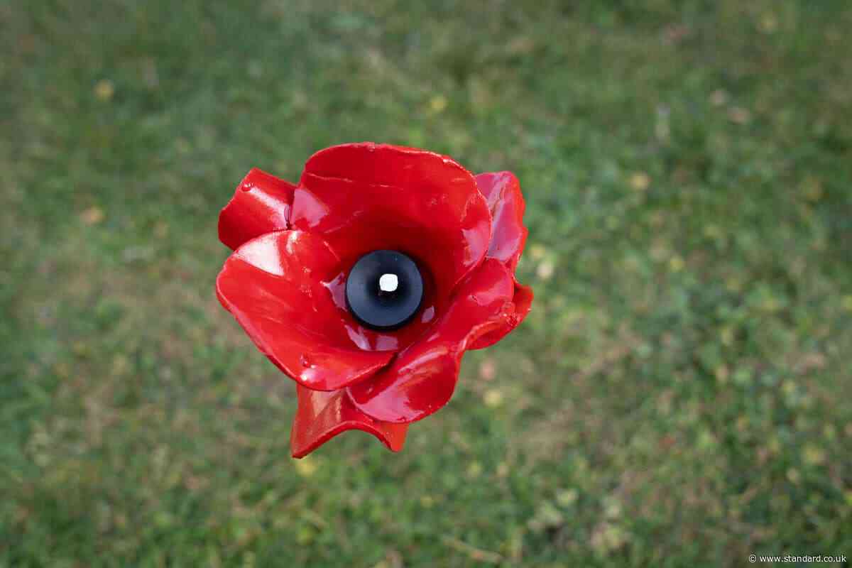 Veterans and families to attend VEDay 80th anniversary commemorations