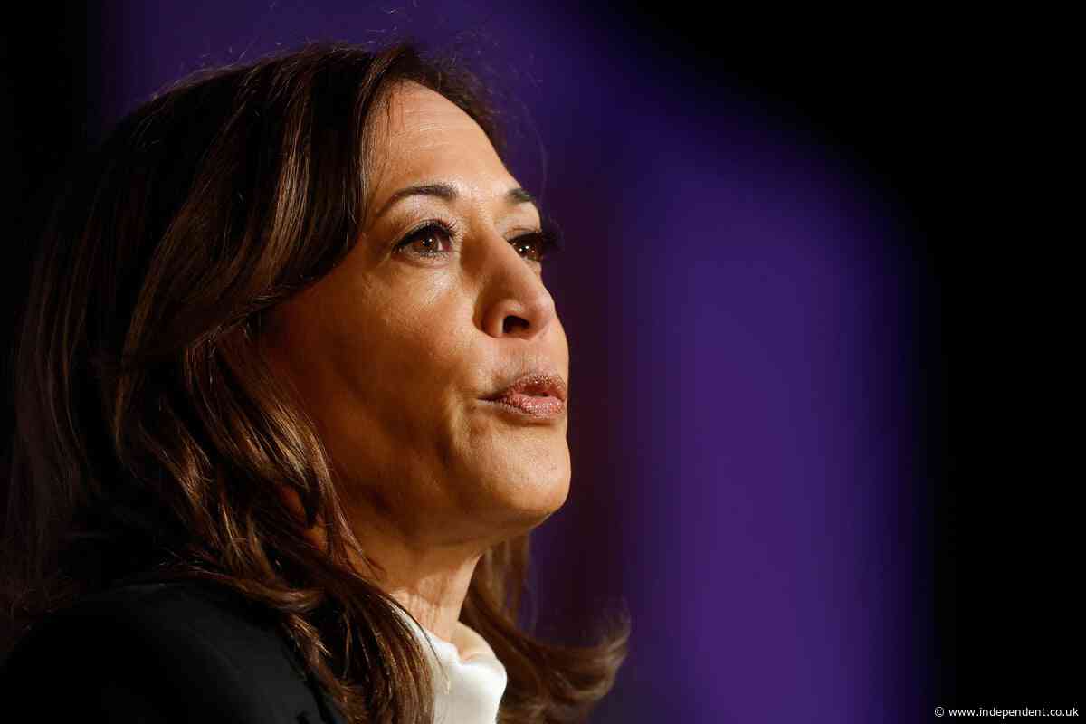 Kamala Harris and Doug Emhoff attend Met Gala but skip red carpet