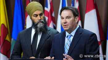 NDP appoints Don Davies as interim leader Monday evening