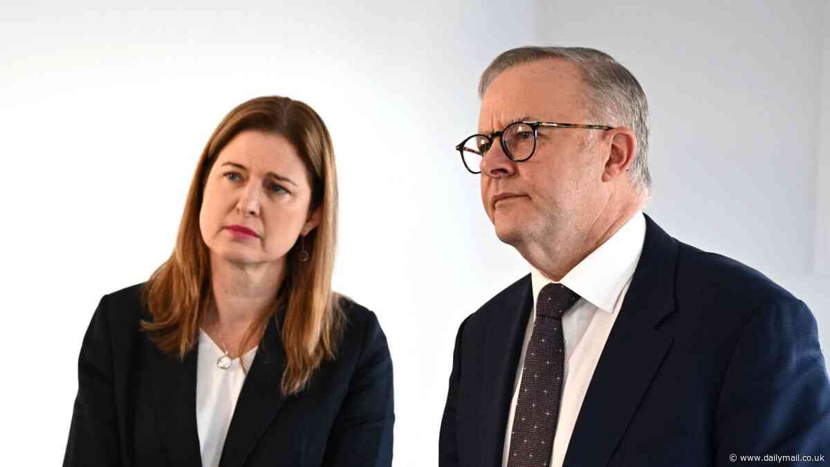 Australia Senate, Adam Bandt election results LIVE: Election bombshell as senior Labor minister and prominent Teal suddenly stare down the barrel of defeat as their leads are wiped out