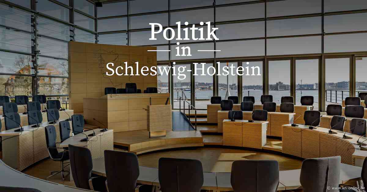 Politik in SH: Lange Ermittlungsverfahren bei Polizeigewalt