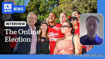 The Online Election: The role of content creators and legacy media