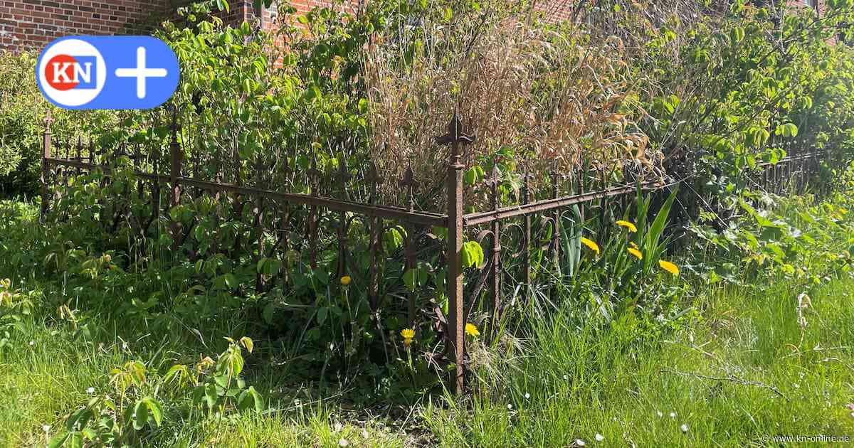 Verschollene Gruft in Sülfeld: Wer liegt hier begraben?