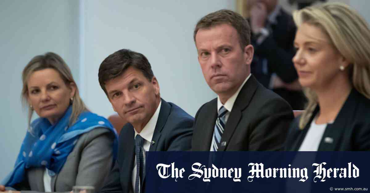 Tehan firms as kingmaker in Liberal leadership battle as polling leak sparks recriminations