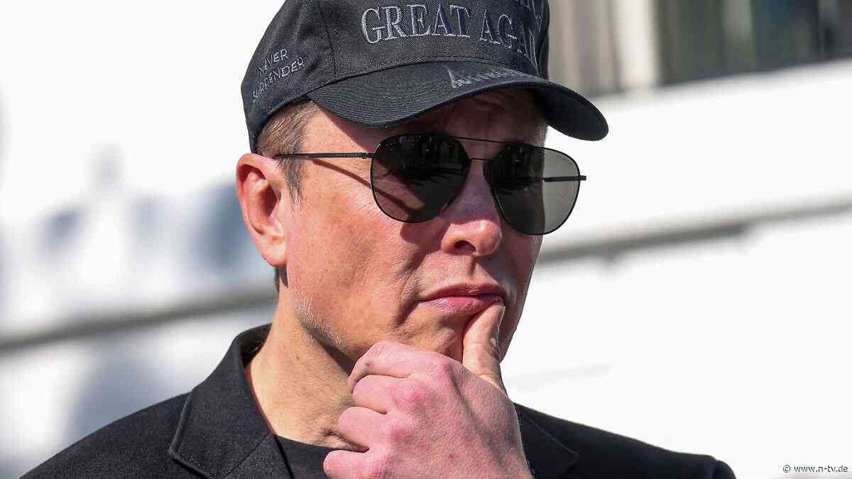 Drei Meter höher als erlaubt: Elon Musks Maschendrahtzaun erzürnt die Nachbarn