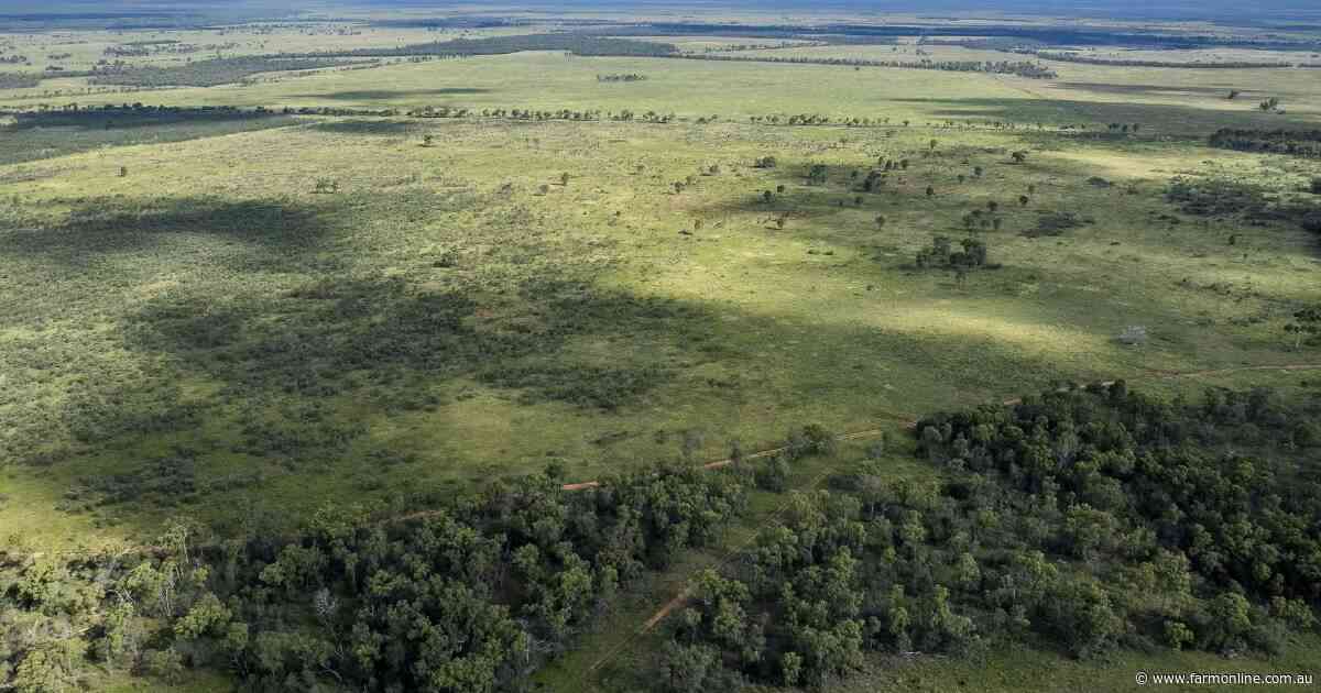 Negotiations continue on 11,520 acre Mackenzie River cattle property