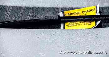 Parking industry boss says 'park properly and you won't get a ticket'