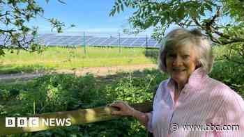 What is life like in the shadow of solar farms?