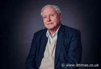What Health Problems Does David Attenborough Have? What To Know as He Turns 99
