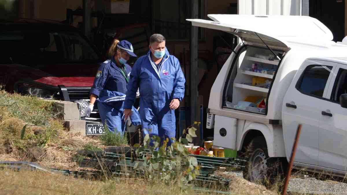 Harrowing new details emerge from the Coonabarabran house of horror where two boys, aged 6 and 7, were killed and their grandmother arrested
