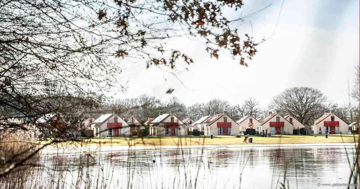 ‘Ik had continu hoop dat het goed zou komen’: Sander vertelt voor het eerst over faillissement van ‘zijn’ vakantiepark