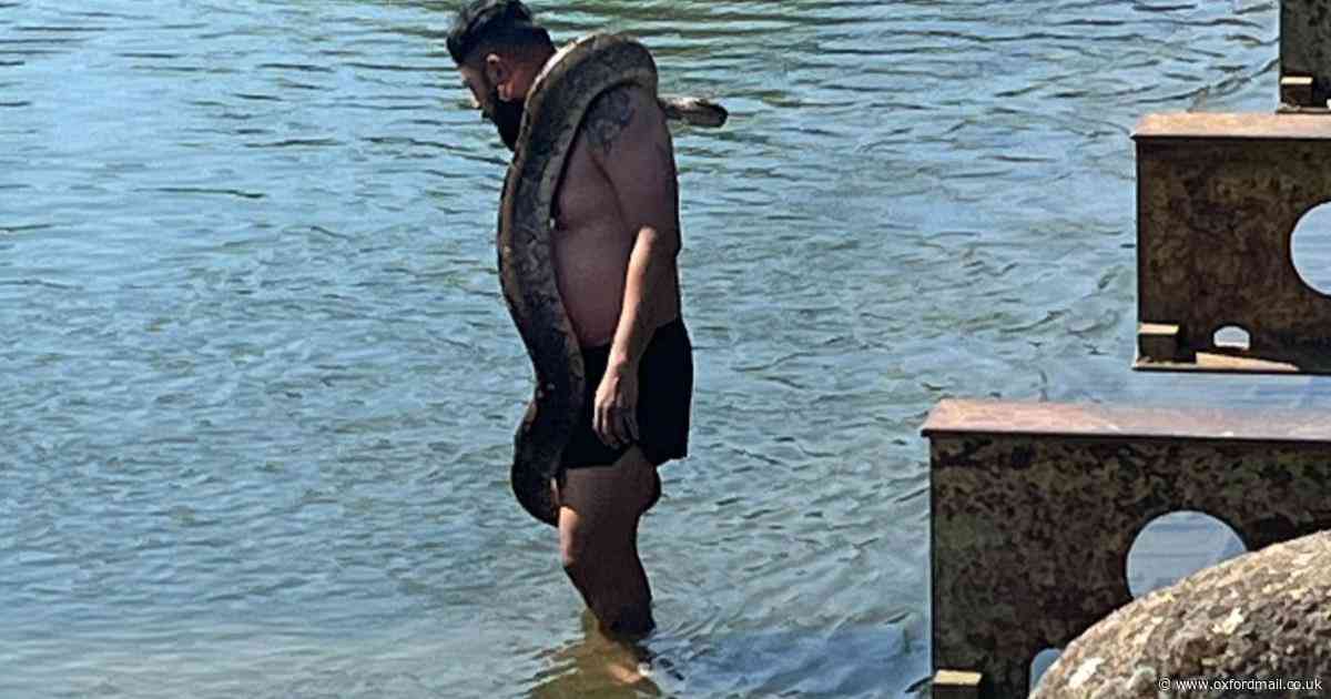 Concern as huge ‘python’ spotted at city beauty spot