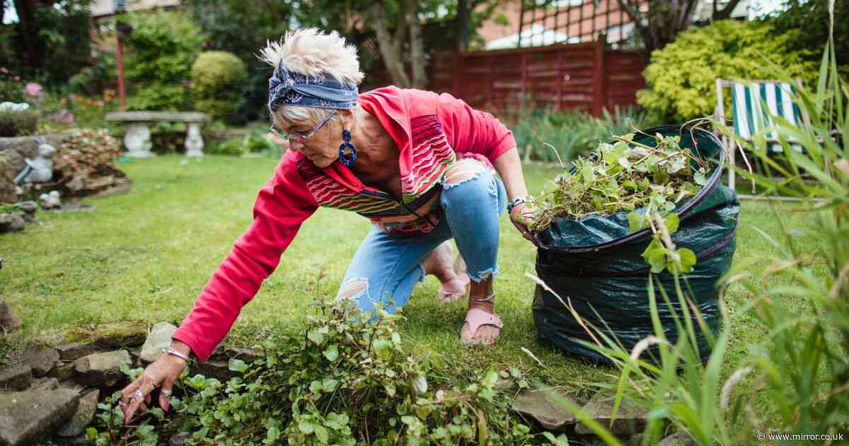 Gardeners told to do two important jobs in May or 'lose control'