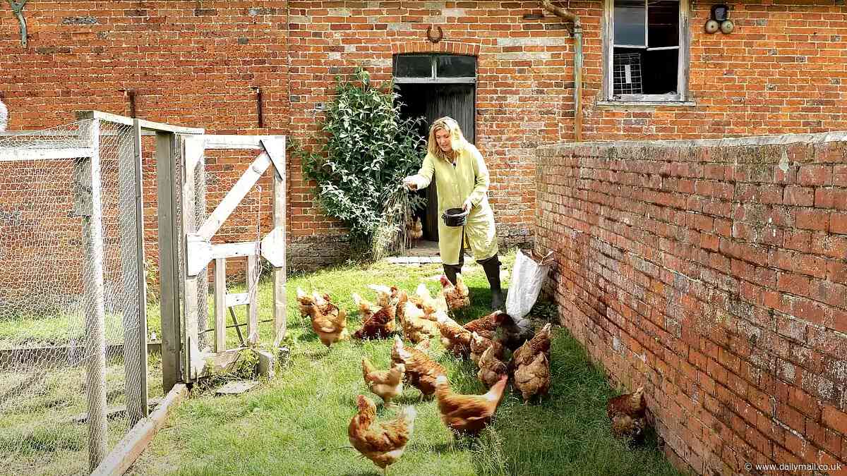 Countess' chickens behind plan to tear down 100-year-old greenhouses 'overrun with vermin' at stately home dubbed the 'real Downton Abbey'