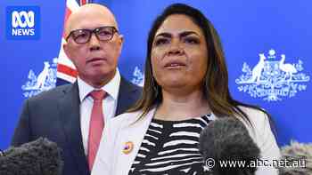 'Pleased McCarthy is minister', says former Coalition minister