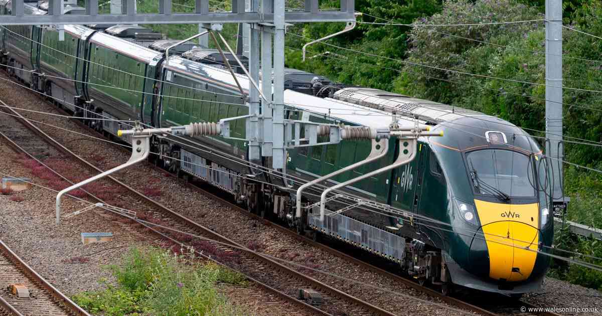 Trains cancelled and delayed after grassfire causes damage to railway lines