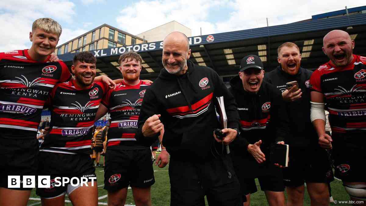 Cattle encouraged by Cornish Pirates preparations